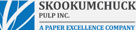 Skookumchuck-Logo
